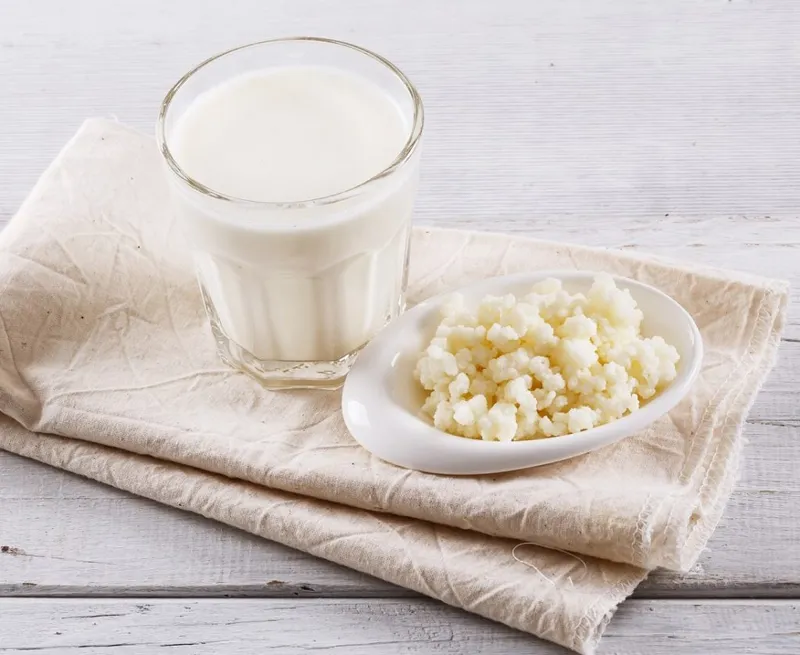 Näringsämnena som gör kefir nyttigt